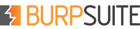 /posts/burpsuitepro/burp-banner.png